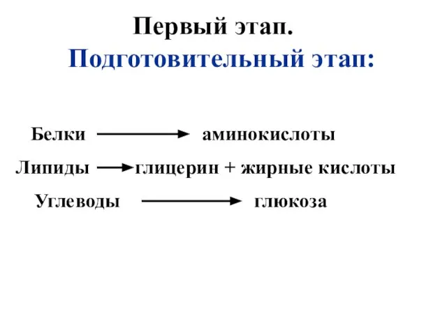 Первый этап. Подготовительный этап: Белки аминокислоты Липиды глицерин + жирные кислоты Углеводы глюкоза