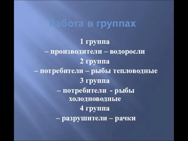 Работа в группах 1 группа – производители – водоросли 2 группа –