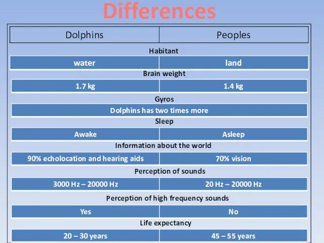 Differences Habitant Brain weight Gyros Sleep Information about the world Perception of