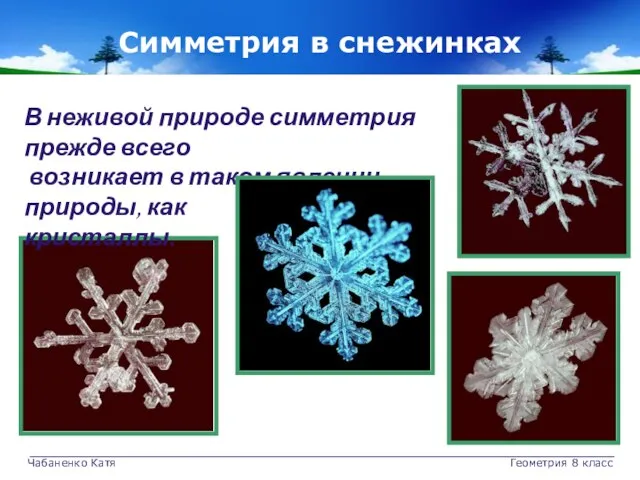 Чабаненко Катя Геометрия 8 класс Симметрия в снежинках В неживой природе симметрия