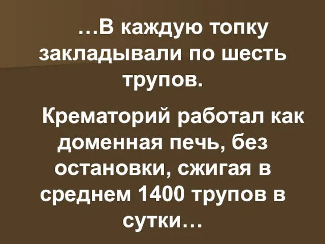 …В каждую топку закладывали по шесть трупов. Крематорий работал как доменная печь,