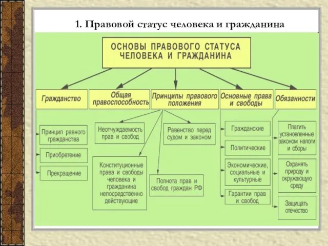 1. Правовой статус человека и гражданина