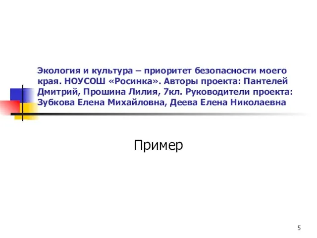 Экология и культура – приоритет безопасности моего края. НОУСОШ «Росинка». Авторы проекта: