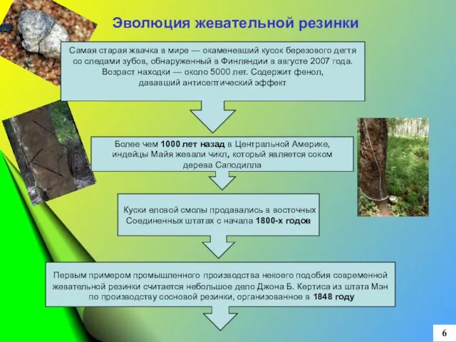 6 Куски еловой смолы продавались в восточных Соединенных штатах с начала 1800-х