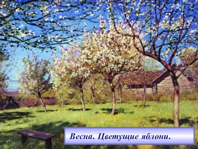 Весна. Цветущие яблони. Весна. Цветущие яблони.