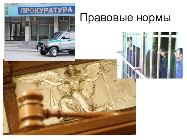 Правовые нормы