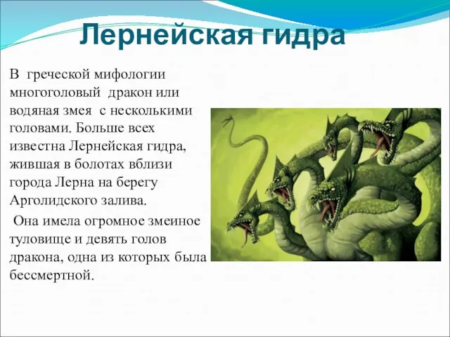 Лернейская гидра В греческой мифологии многоголовый дракон или водяная змея с несколькими