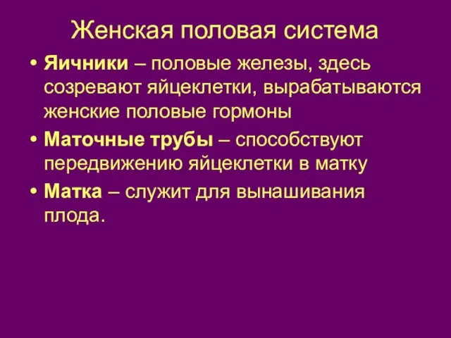 Женская половая система Яичники – половые железы, здесь созревают яйцеклетки, вырабатываются женские