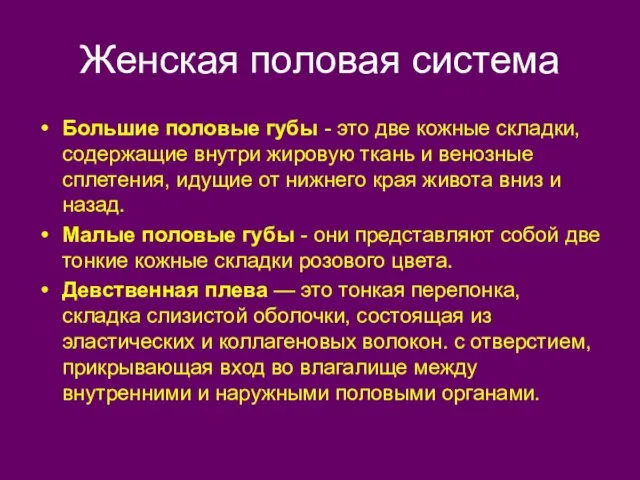 Женская половая система Большие половые губы - это две кожные складки, содержащие