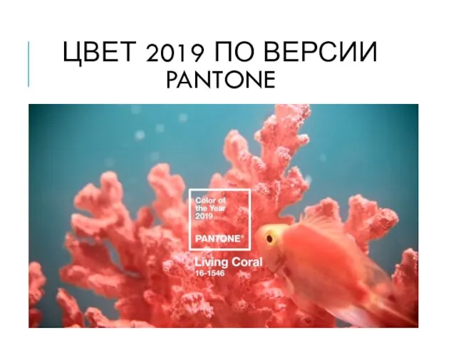 ЦВЕТ 2019 ПО ВЕРСИИ PANTONE