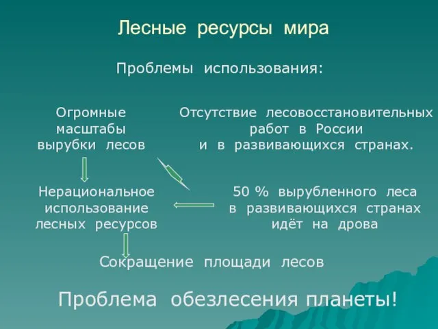 Лесные ресурсы мира Сокращение площади лесов Нерациональное использование лесных ресурсов 50 %