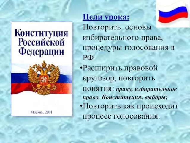 Цели урока: Повторить основы избирательного права, процедуры голосования в РФ Расширить правовой