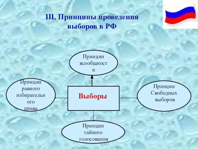 III. Принципы проведения выборов в РФ Принцип равного избирательного права Принцип Свободных