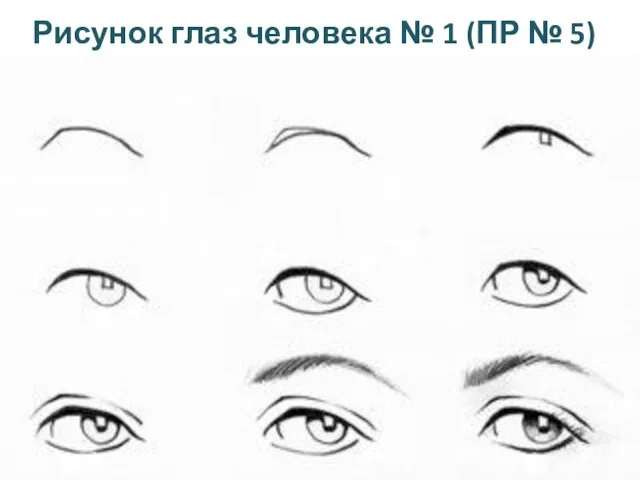 Рисунок глаз человека № 1 (ПР № 5)