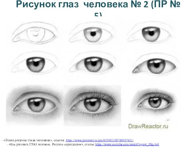 Рисунок глаз человека № 2 (ПР № 5) - «Эскиз рисунка глаза