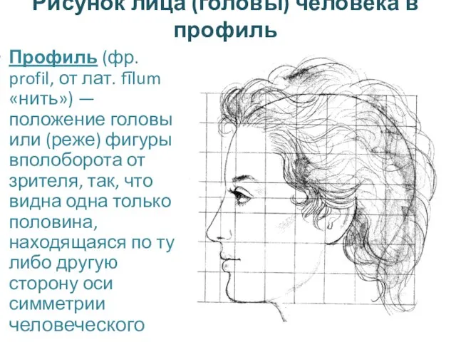 Рисунок лица (головы) человека в профиль Профиль (фр. profil, от лат. fīlum