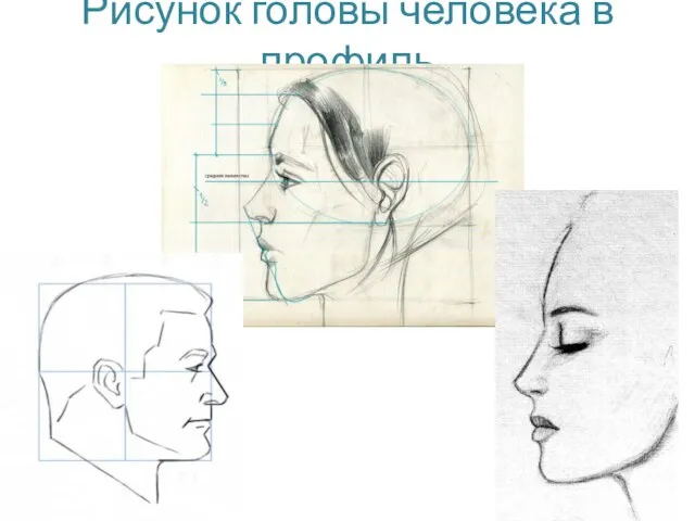 Рисунок головы человека в профиль