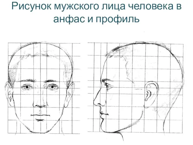Рисунок мужского лица человека в анфас и профиль