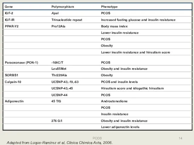 14 PCOS Adapted from Luque-Ramirez et al, Clinica Chimica Acta, 2006.