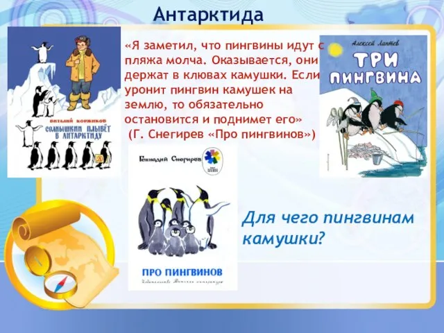 Антарктида «Я заметил, что пингвины идут с пляжа молча. Оказывается, они держат