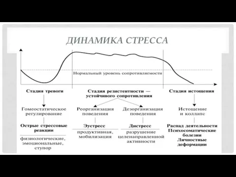 ДИНАМИКА СТРЕССА