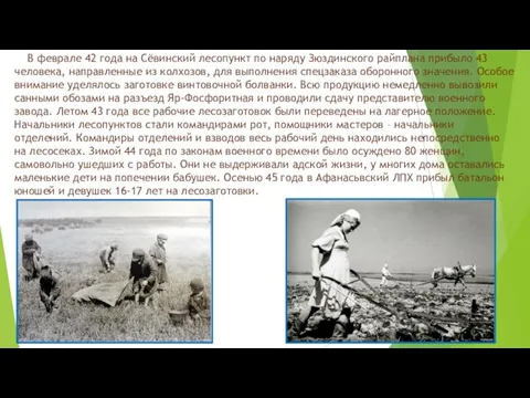 В феврале 42 года на Сёвинский лесопункт по наряду Зюздинского райплана прибыло