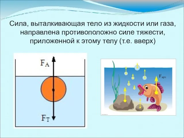 Сила, выталкивающая тело из жидкости или газа, направлена противоположно силе тяжести, приложенной