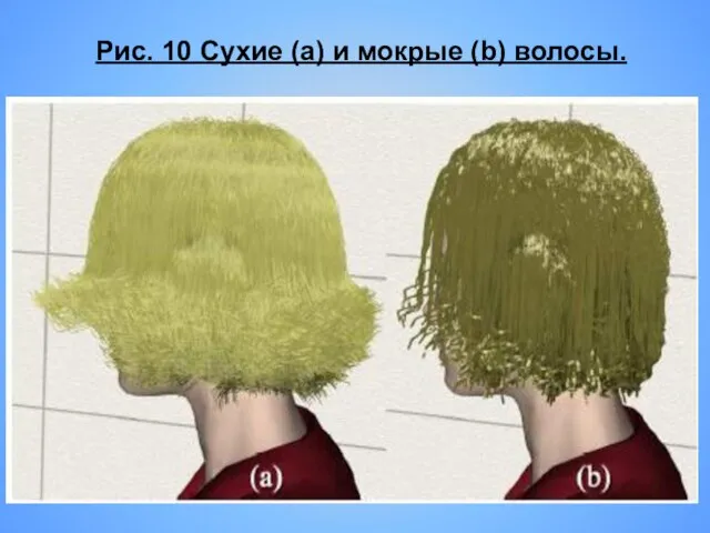 Рис. 10 Сухие (a) и мокрые (b) волосы.