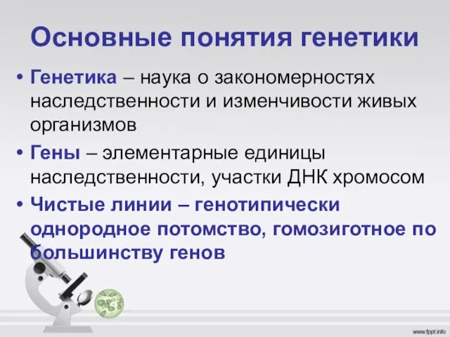 Основные понятия генетики Генетика – наука о закономерностях наследственности и изменчивости живых