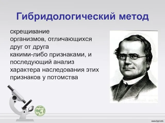 Гибридологический метод скрещивание организмов, отличающихся друг от друга какими-либо признаками, и последующий