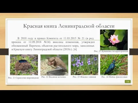 Красная книга Ленинградской области В 2018 году в приказ Комитета от 11.03.2015