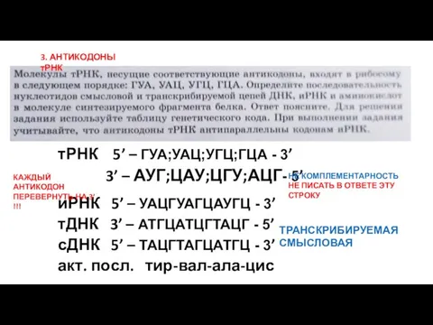 тРНК 5’ – ГУА;УАЦ;УГЦ;ГЦА - 3’ 3’ – АУГ;ЦАУ;ЦГУ;АЦГ- 5’ иРНК 5’