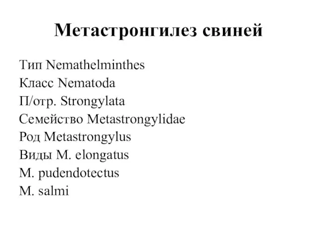 Метастронгилез свиней Тип Nemathelminthes Класс Nematoda П/отр. Strongylata Семейство Metastrongylidae Род Metastrongylus
