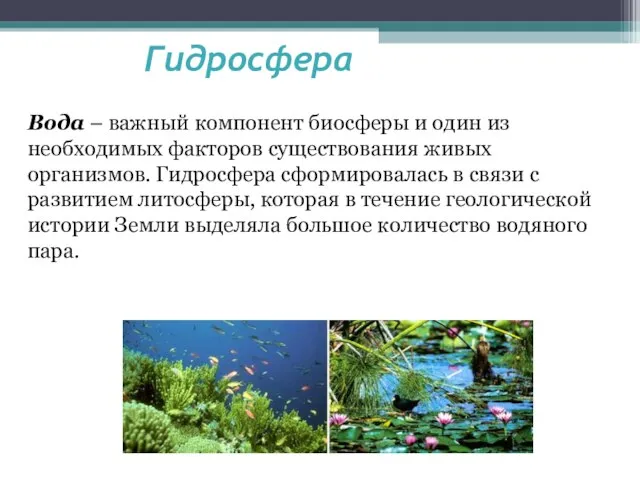 Гидросфера Вода – важный компонент биосферы и один из необходимых факторов существования