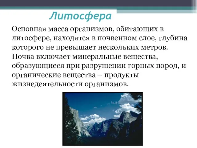 Литосфера Основная масса организмов, обитающих в литосфере, находятся в почвенном слое, глубина