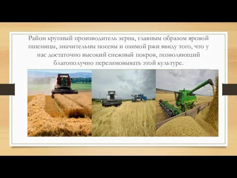 Район крупный производитель зерна, главным образом яровой пшеницы, значительны посевы и озимой