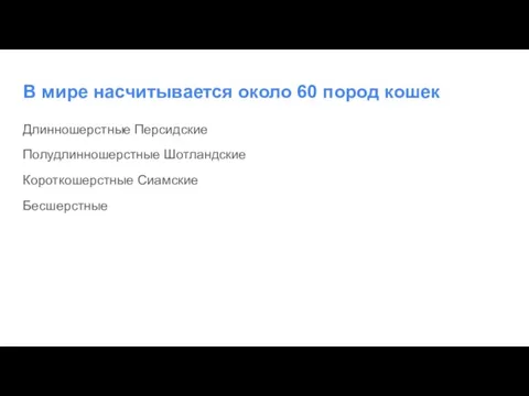 В мире насчитывается около 60 пород кошек Длинношерстные Персидские Полудлинношерстные Шотландские Короткошерстные Сиамские Бесшерстные