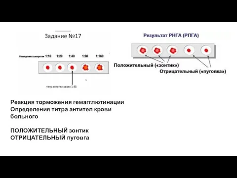 Реакция торможения гемагглютинации Определения титра антител крови больного ПОЛОЖИТЕЛЬНЫЙ зонтик ОТРИЦАТЕЛЬНЫЙ пуговга