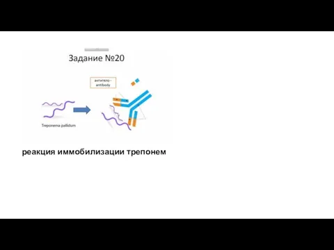 реакция иммобилизации трепонем