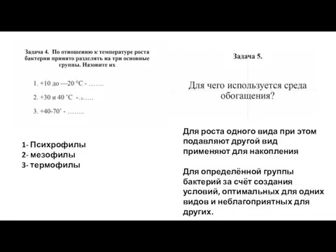 1- Психрофилы 2- мезофилы 3- термофилы Для роста одного вида при этом