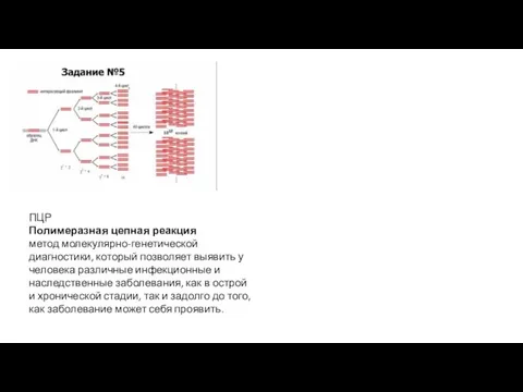 ПЦР Полимеразная цепная реакция метод молекулярно-генетической диагностики, который позволяет выявить у человека