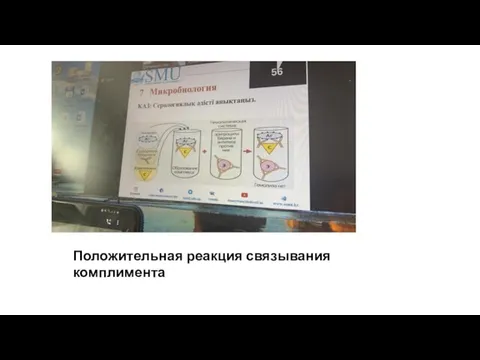 Положительная реакция связывания комплимента