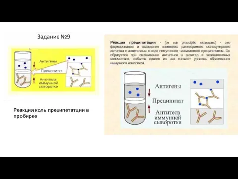 Реакция коль преципетатции в пробирке