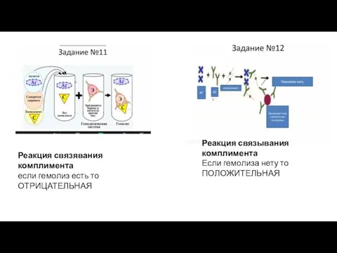 Реакция связявания комплимента если гемолиз есть то ОТРИЦАТЕЛЬНАЯ Реакция связывания комплимента Если гемолиза нету то ПОЛОЖИТЕЛЬНАЯ