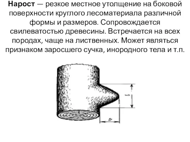 Нарост — резкое местное утолщение на боковой поверхности круглого лесоматериала различной формы