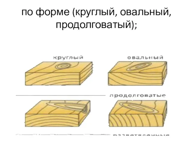 по форме (круглый, овальный, продолговатый);