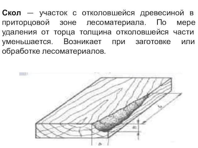 Скол — участок с отколовшейся древесиной в приторцовой зоне лесоматериала. По мере