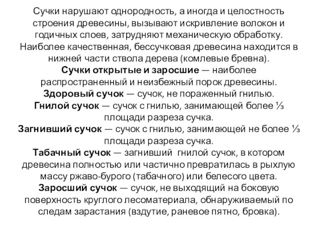 Сучки нарушают однородность, а иногда и целостность строения древесины, вызывают искривление волокон