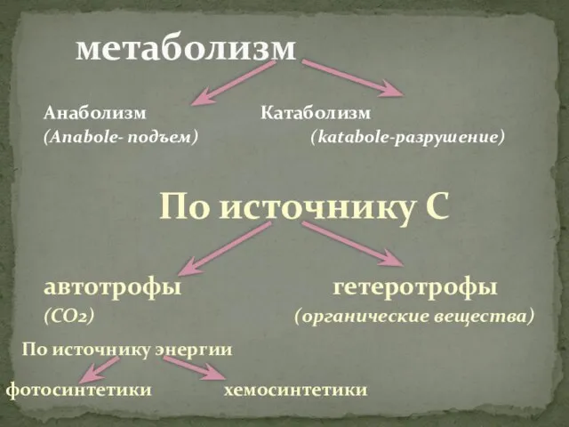 Анаболизм Катаболизм (Anabole- подъем) (katabole-разрушение) метаболизм По источнику С автотрофы гетеротрофы (СО2)