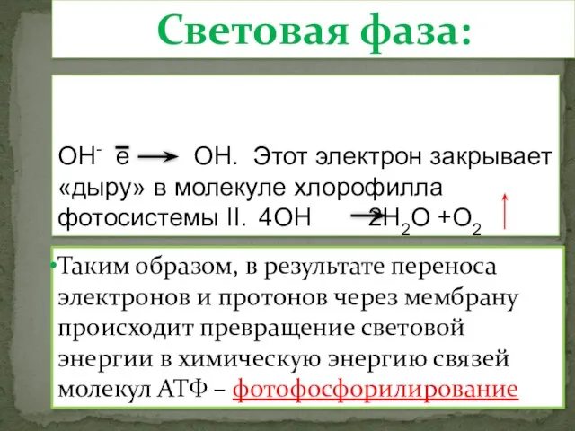 Ионы гидроксильной группы отдают свои электроны, превращаясь в радикалы: ОН- е ОН.